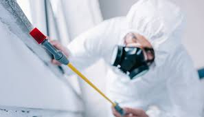 Real Estate Pest Inspections in North Bay Shore, NY